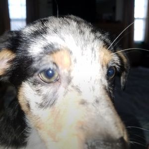 Meet your Posher, Brad